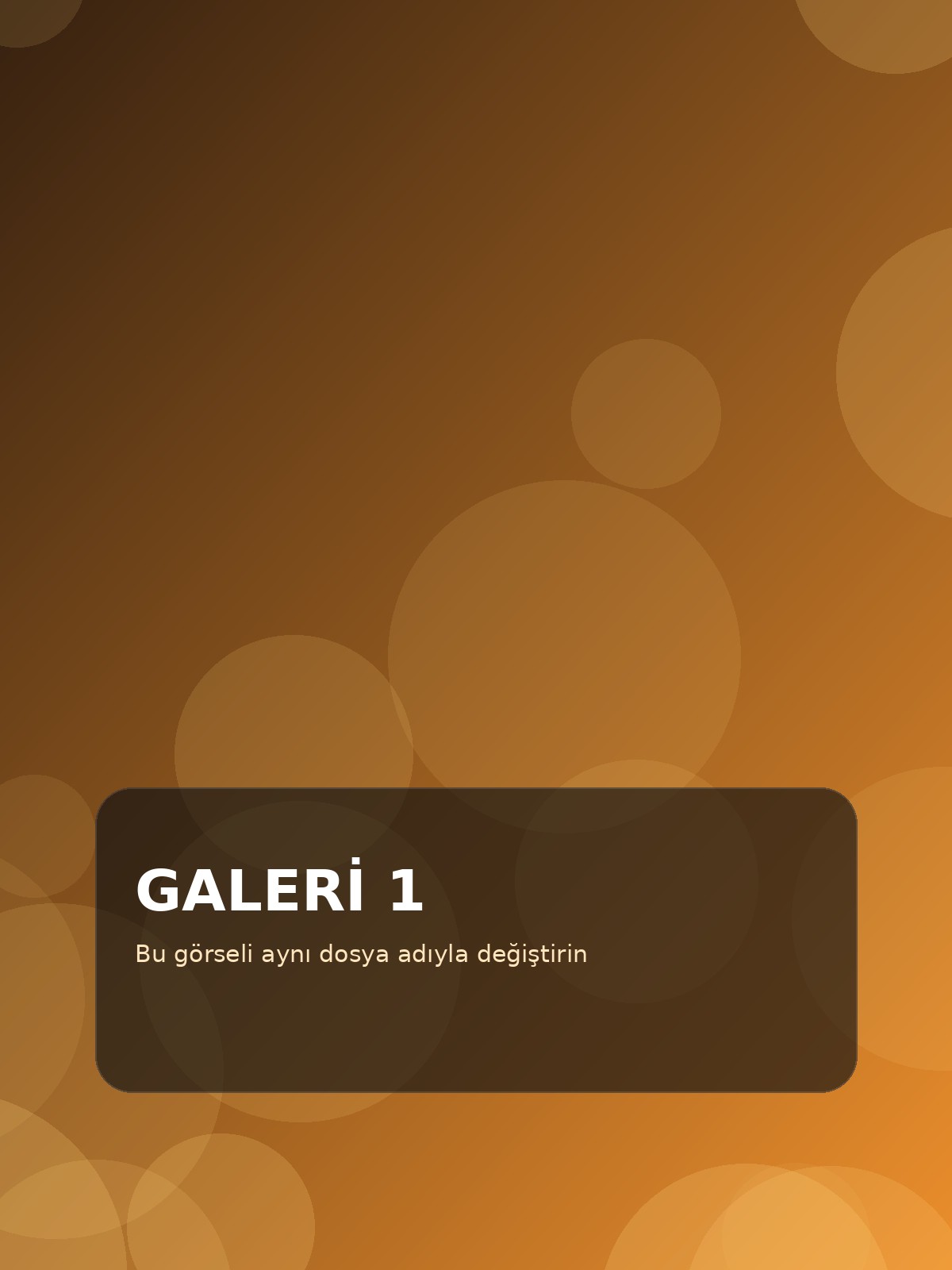 Galeri görseli 1