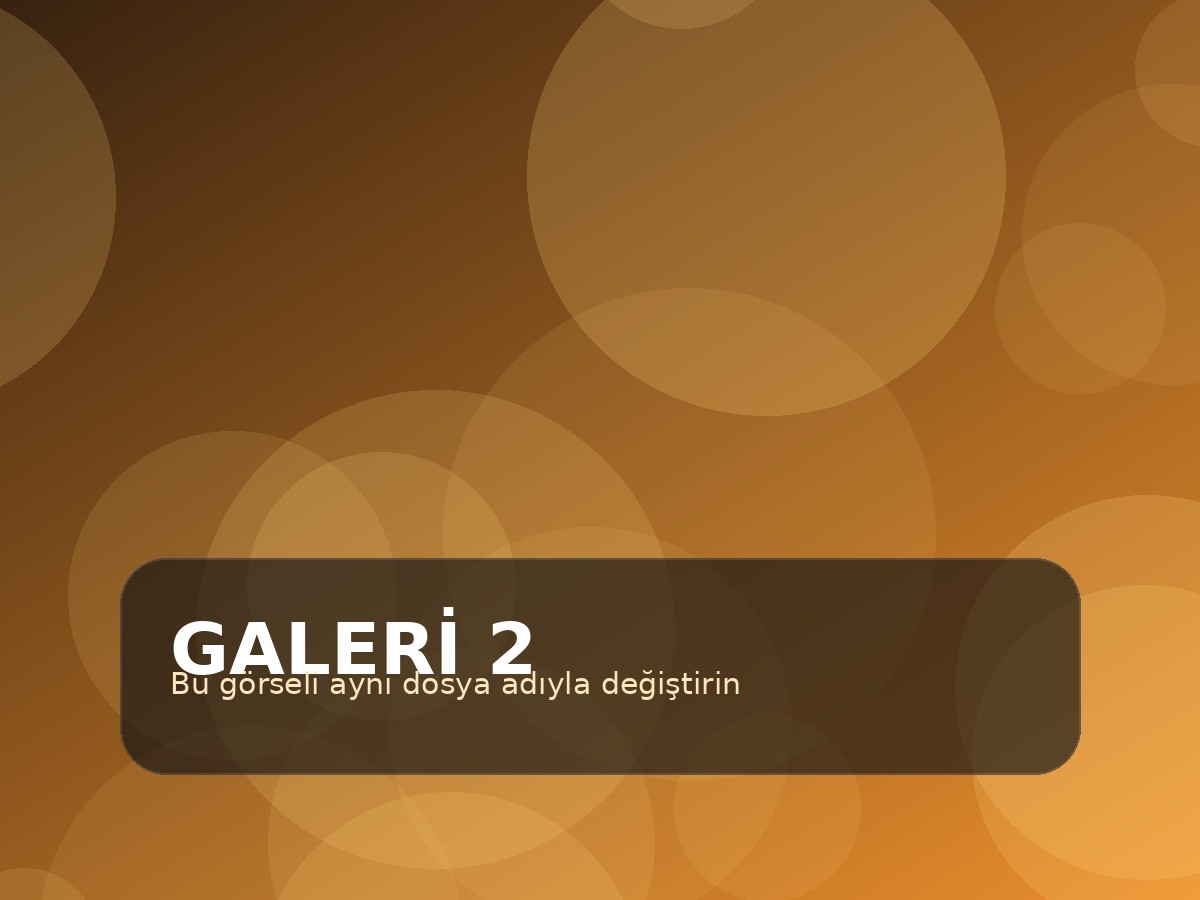 Galeri görseli 2