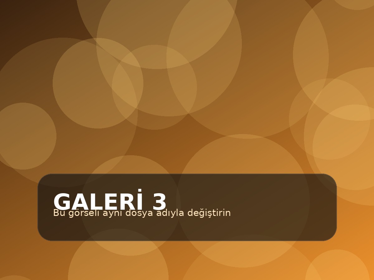 Galeri görseli 3