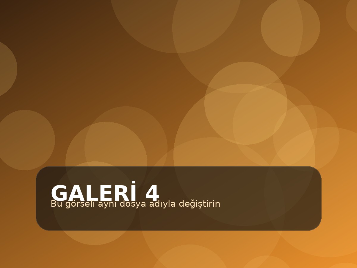 Galeri görseli 4