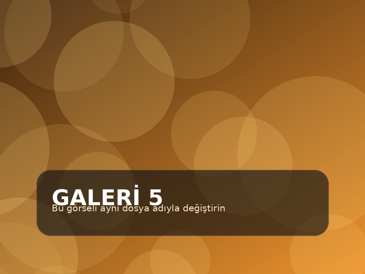 Galeri görseli 5