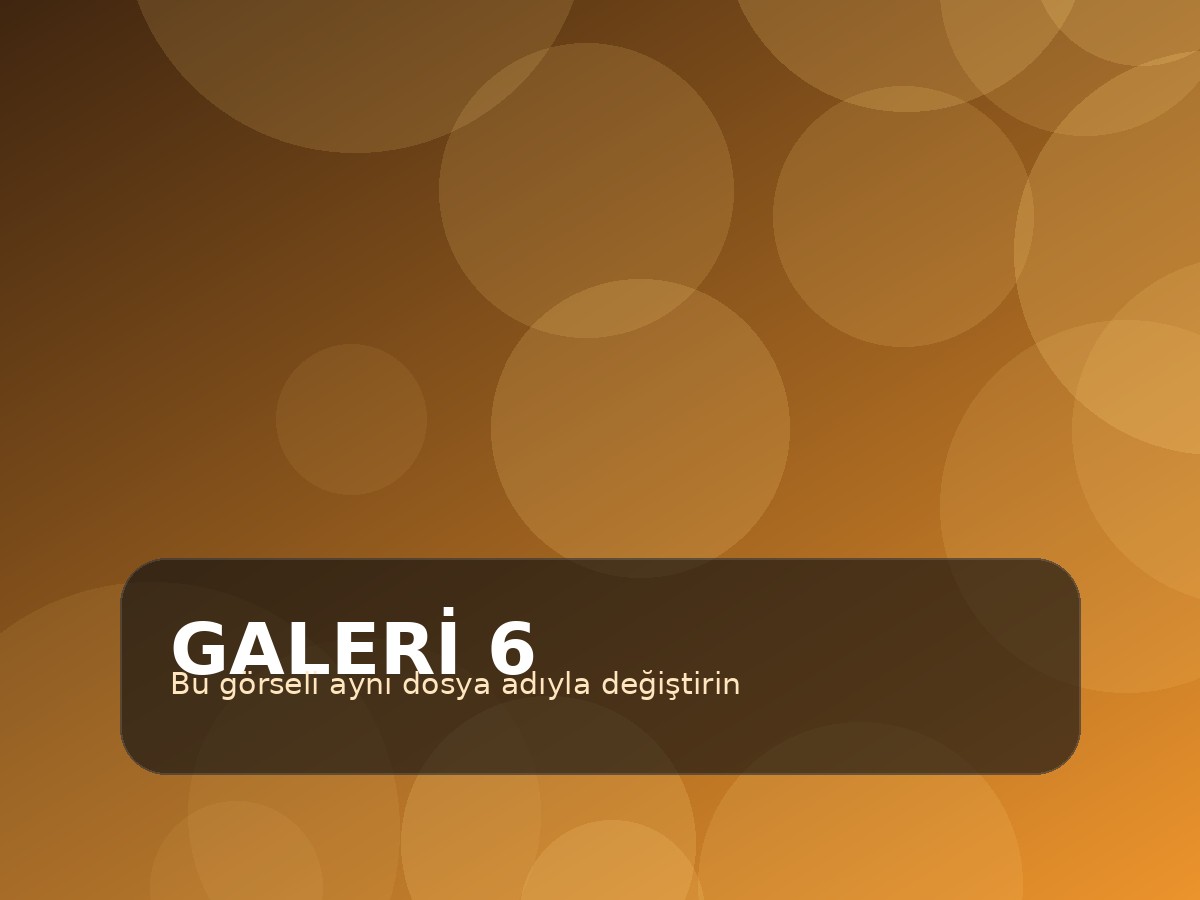 Galeri görseli 6